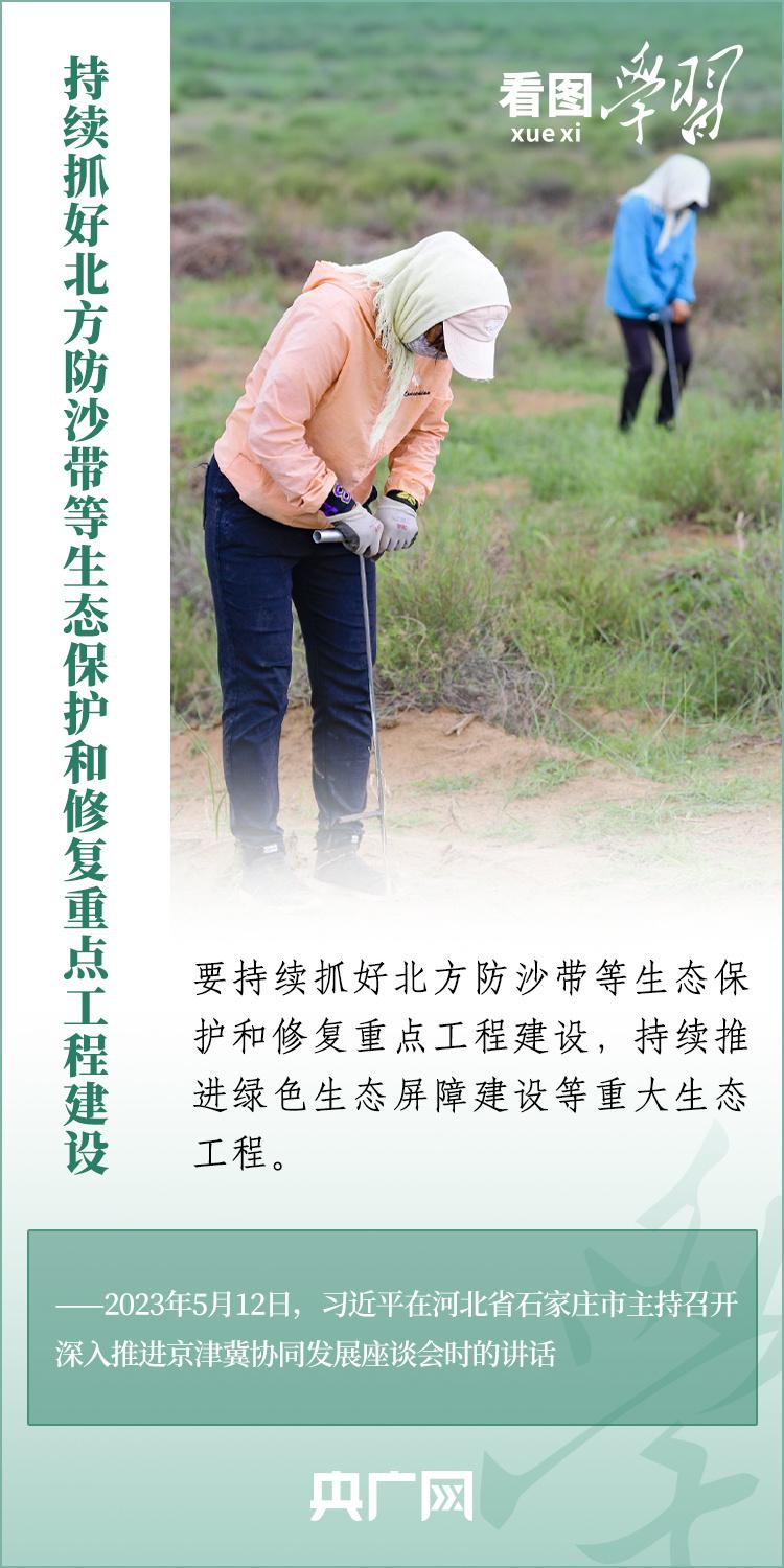 CAD快速看图，拥抱变化，开启无限可能的新篇章（最新版本）