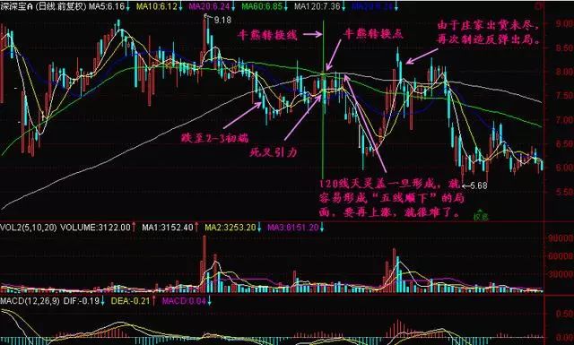 002板块股票详解，如何识别与理解002股票板块