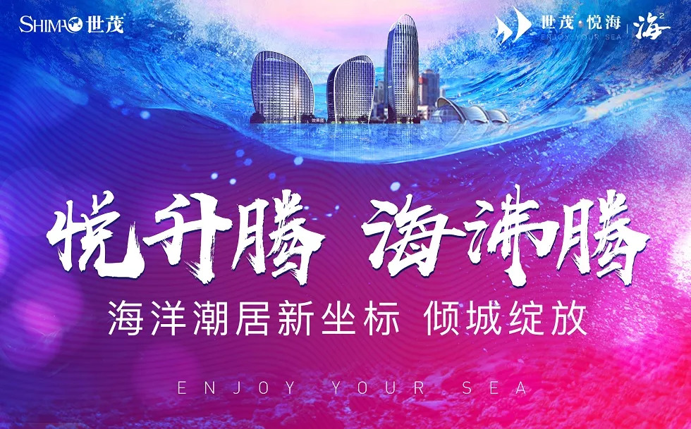 世贸怒放海最新动态，繁荣与挑战并存的发展态势