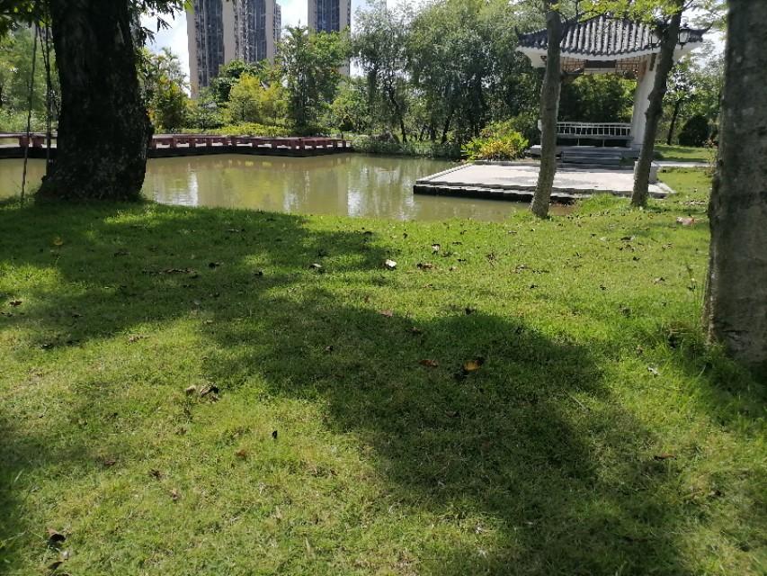 中山港口最新职位招聘，全面解析与观点阐述