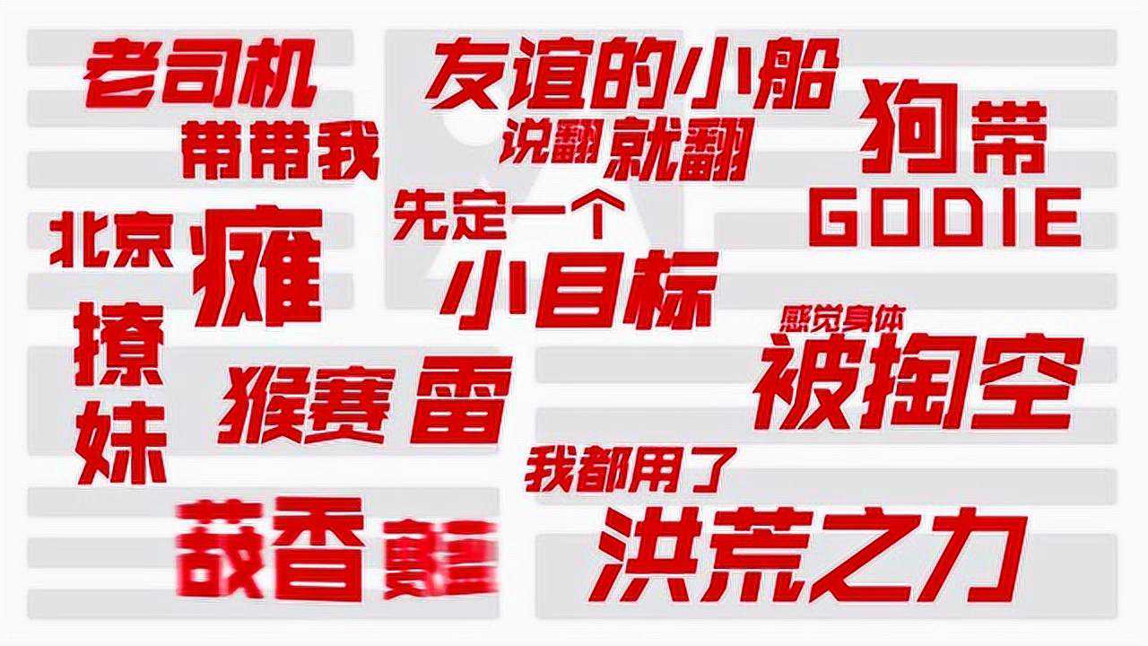 网络最新流行语概览