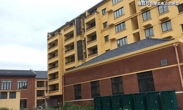 临沂司机最新招聘信息，日常趣事与求职之旅的碰撞