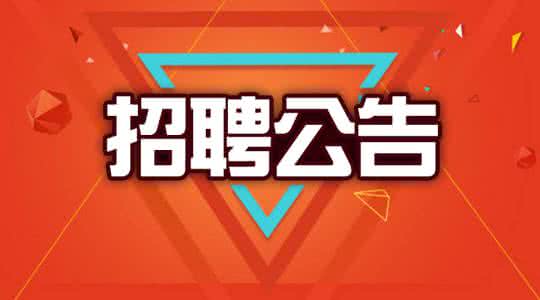 凤阳招聘网最新招聘信息，小巷深处的职业机遇探索