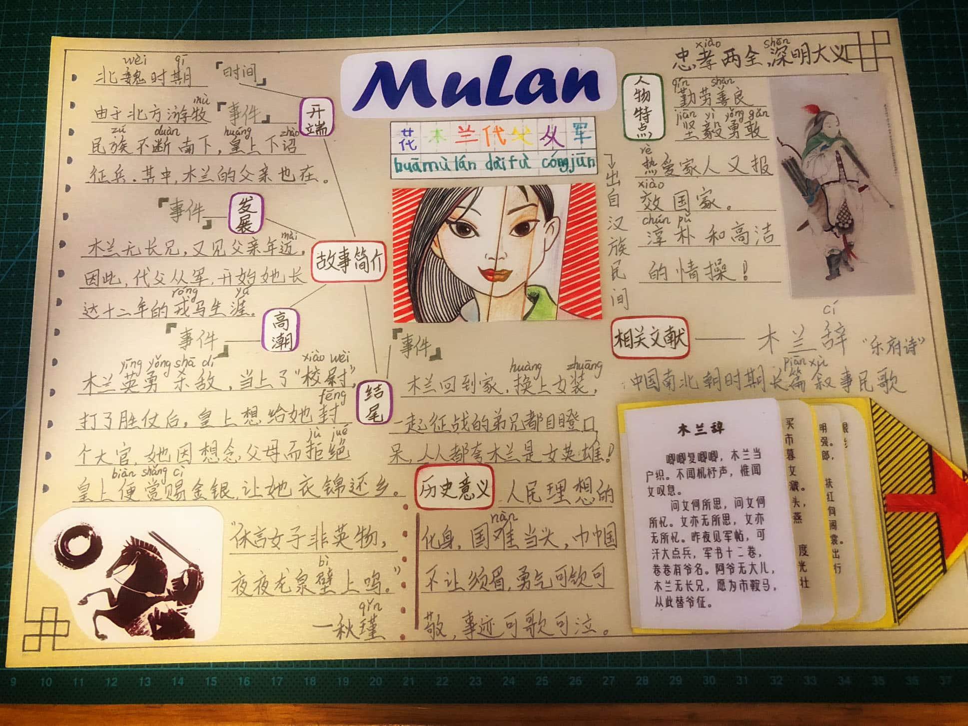 最新小学生优秀作文精选，课外阅读的探讨与启示