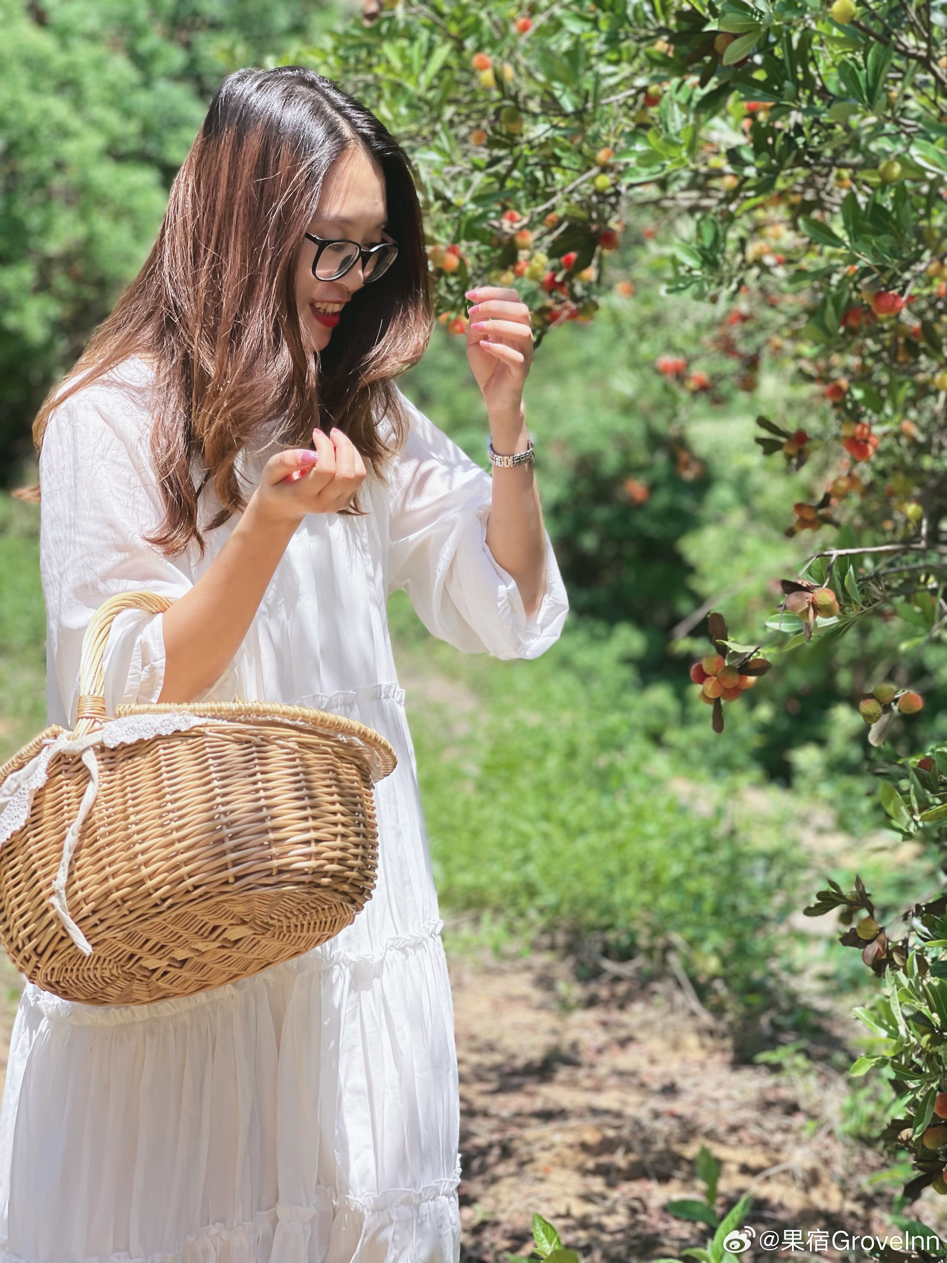探索自然美景的奇妙之旅，最新尤果，寻找内心的平和与喜悦