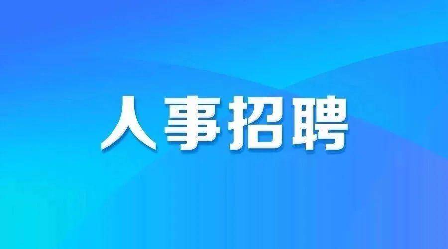 望城招聘网最新招聘，城市求职奇遇与深厚友情的邂逅