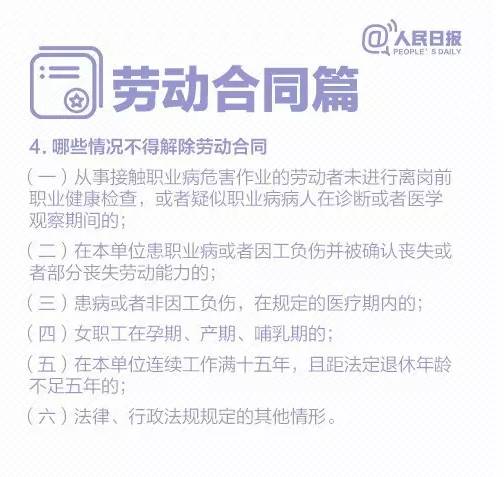 最新劳动合同法解读，心灵之旅中的法律平衡与内心平静的探索
