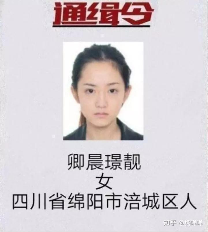 河北最新通缉令，时代的警钟敲响，正义的呼唤响彻天际