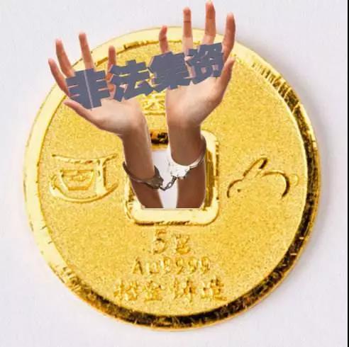 黄金佳最新动态与前景展望揭秘，最新消息一览无余