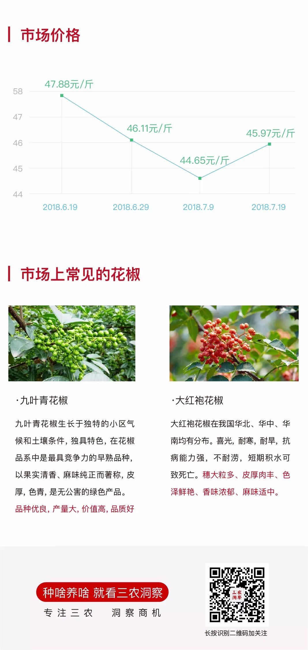 花椒最新价格动态及市场走势与影响因素分析