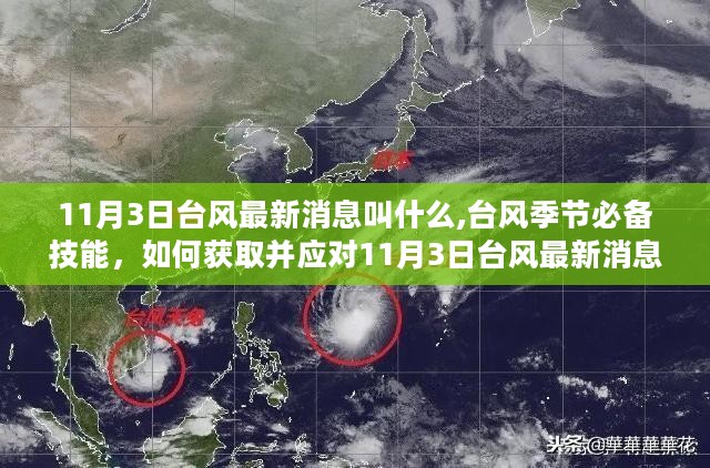 20号台风最新动态与应对指南，风暴消息及防御措施