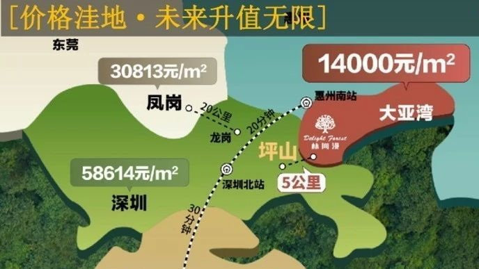 深圳大亚湾最新房价揭秘与趋势分析🏠💼