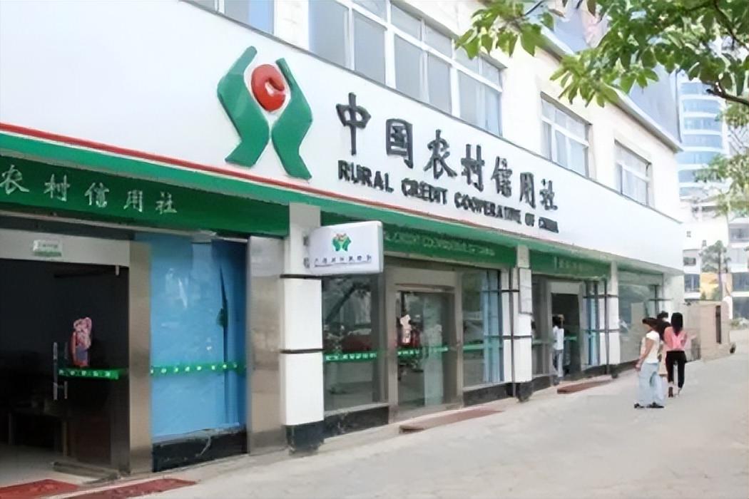 全面解析与洞察，最新信用社存款利率更新通知