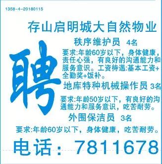 雷州最新招聘信息全面概览