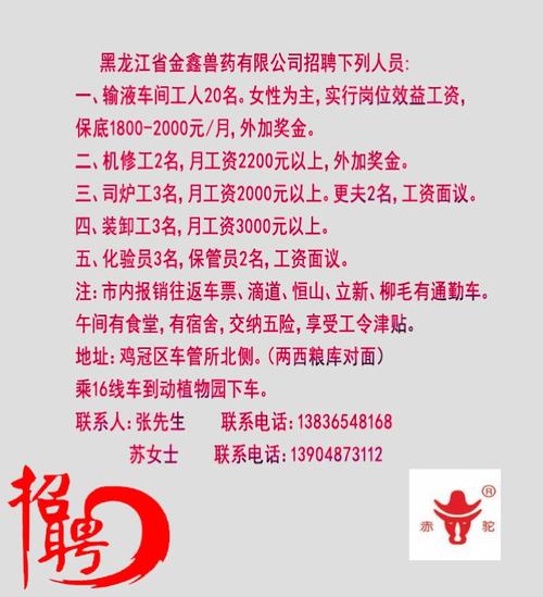 包头最新招聘信息，小巷深处的职业机遇