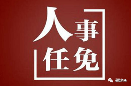 新疆最新人事任免动态及解析