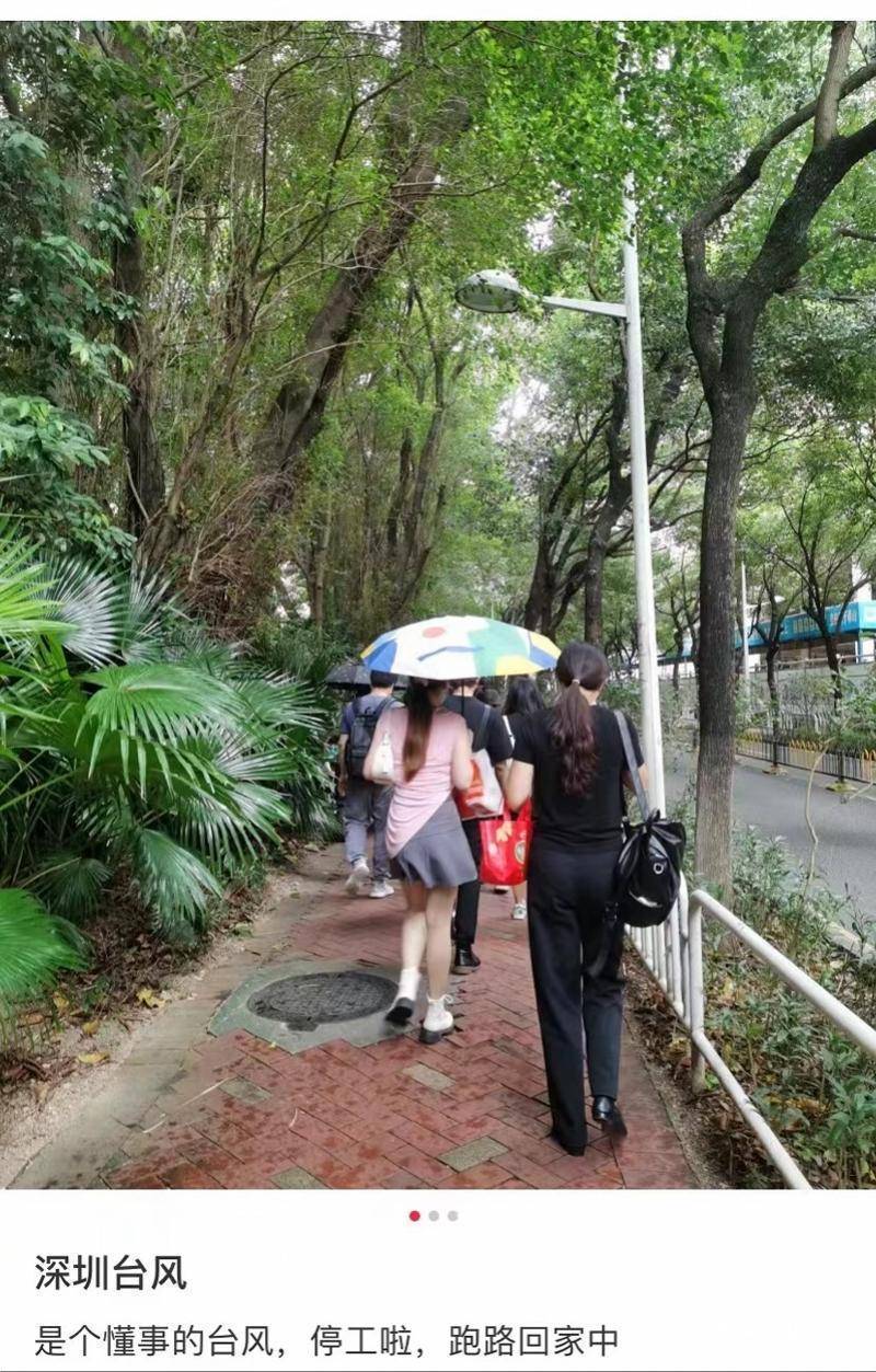 24号台风最新消息,24号台风下的温馨日常故事