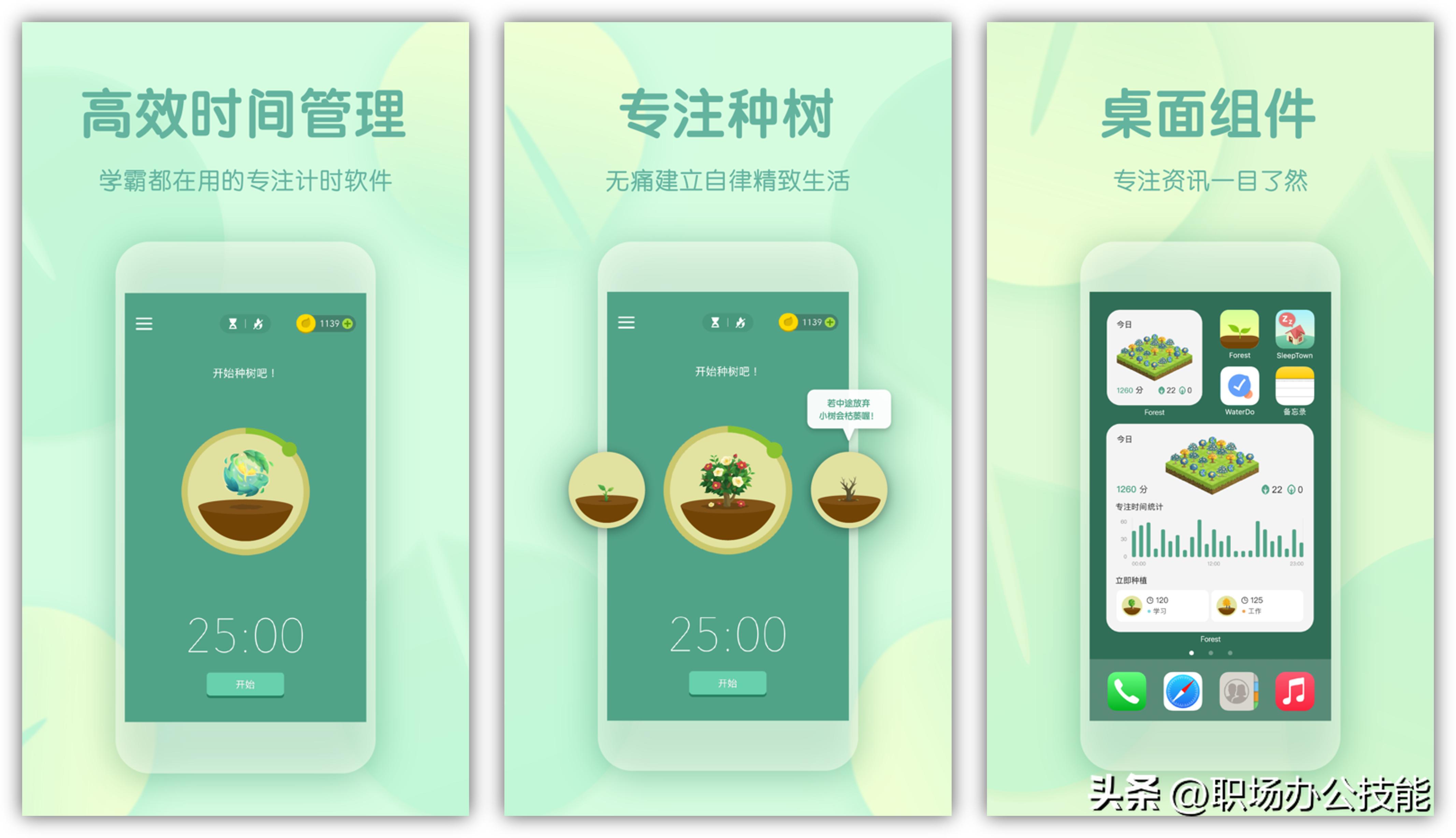 最新收藏,最新收藏，探索知识的宝藏，自信与成就感的源泉
