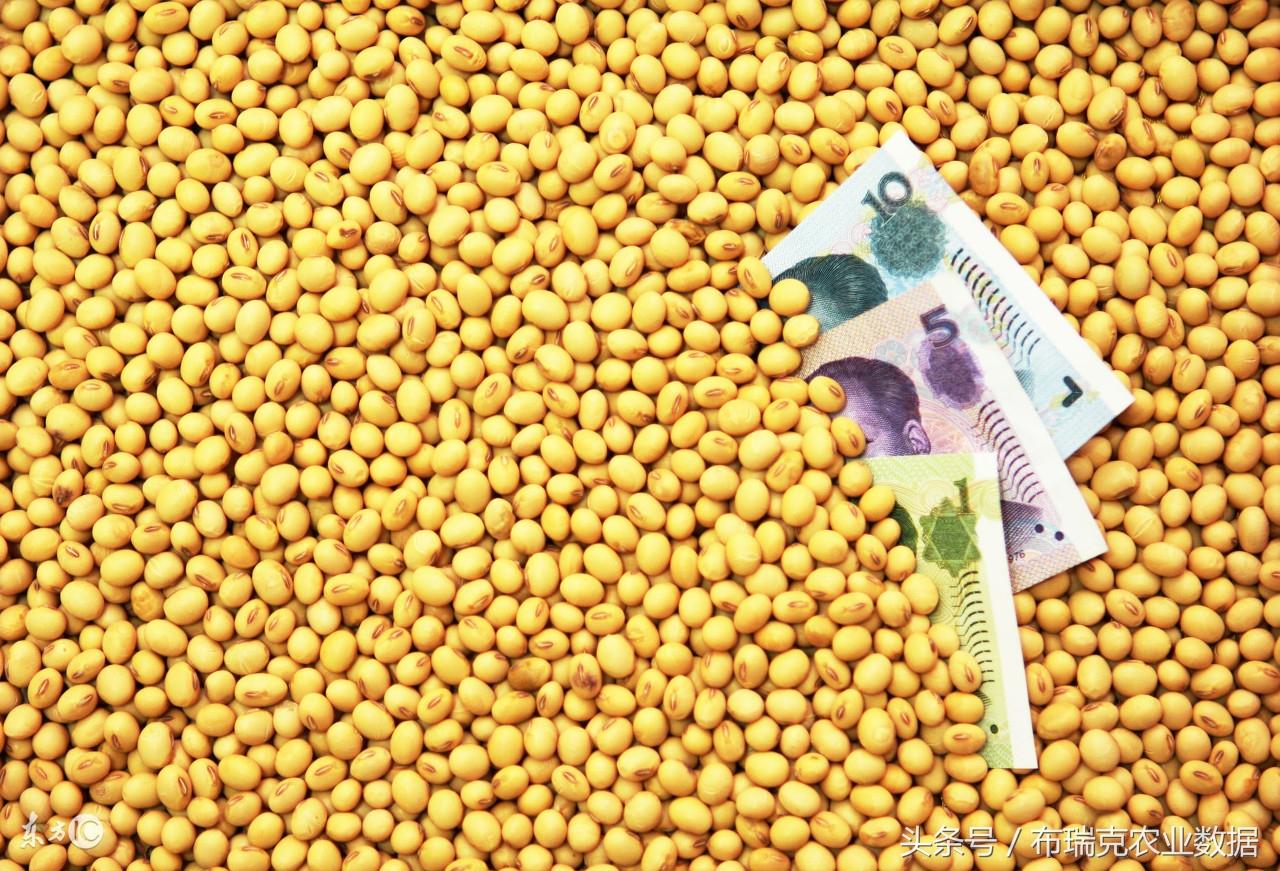 黑龙江省大豆最新价格，时代印记与市场的脉动