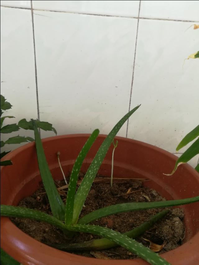 最新小产品，融入家的温馨日常