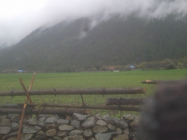 第一狂妃最新探索之旅，自然美景的轻松之旅