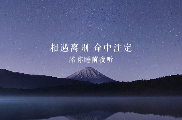 缘来不晚最新一期，探寻缘分的不晚相遇之旅