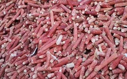 玉米芯最新行情揭秘，小巷里的秘密宝藏与价格走势分析
