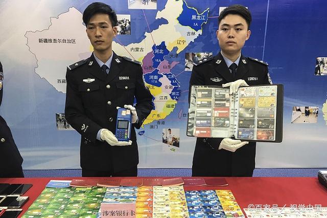 最新侦破诈骗案揭秘，心灵与自然的奇妙旅程