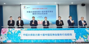 最新保险行业动态与新闻速递