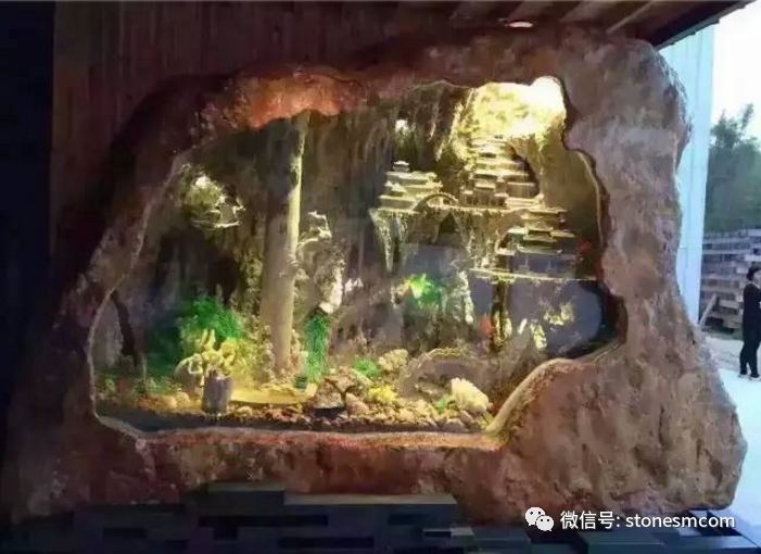 石龟最新价格揭秘，小巷神秘宝藏探索之旅