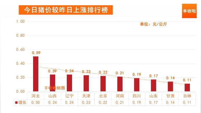 友情与陪伴