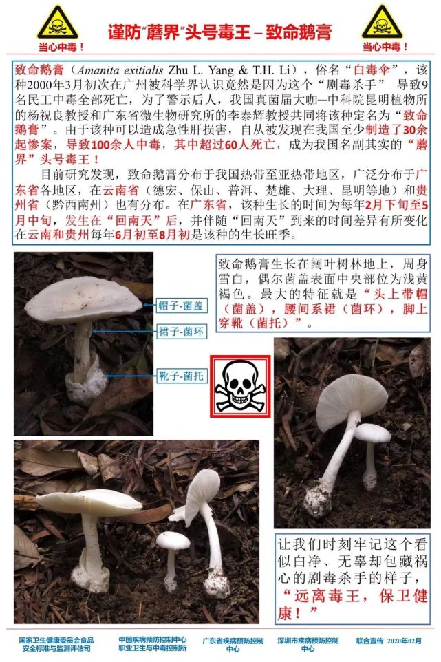 变形计最新一季步骤指南揭秘