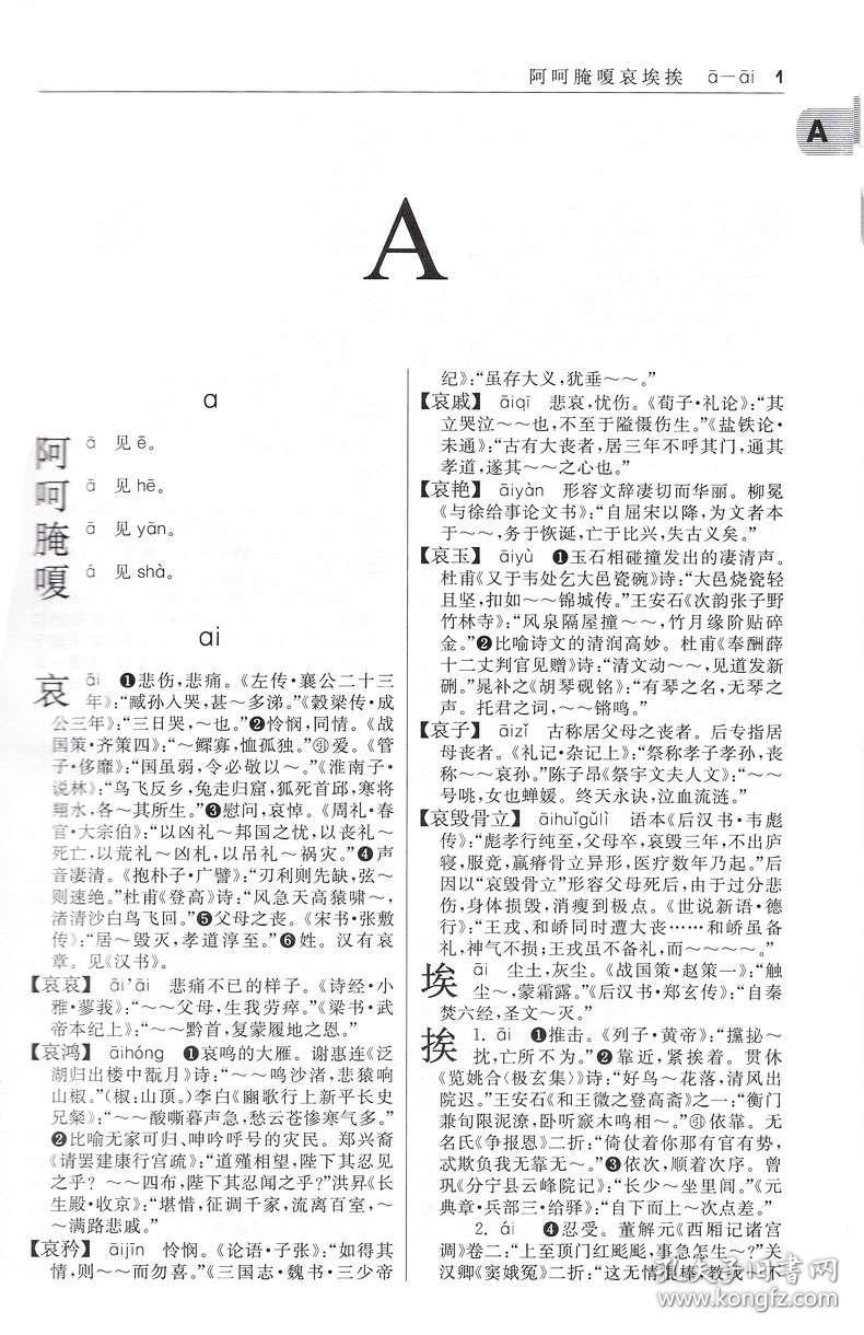 古汉语词典最新版，汉语之根的权威指南探索