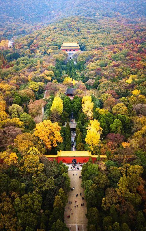 南京公交带你畅游古都南京，最新公交信息一览！