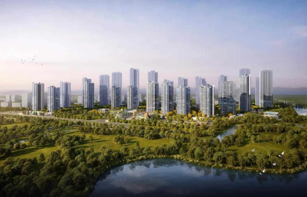张栋梁最新动态，学习变化的力量，自信成就感的旅程揭秘