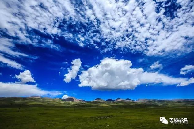 齐翔腾达最新动态，自然美景探索之旅的心灵洗礼与重生体验