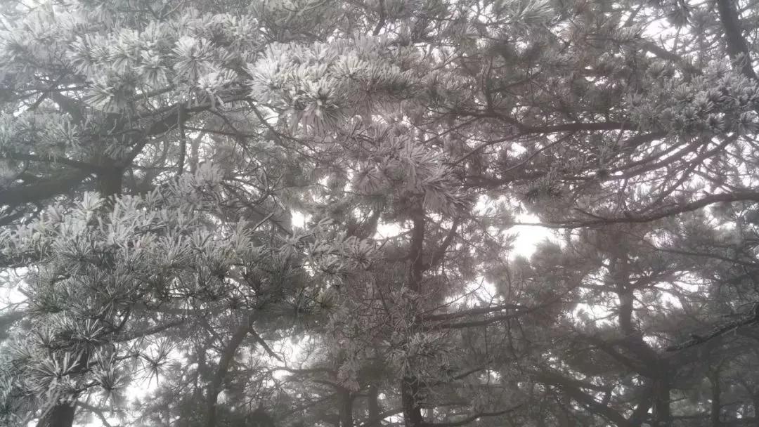 天阿降临，自然美景的呼唤与探索之旅最新章节揭秘