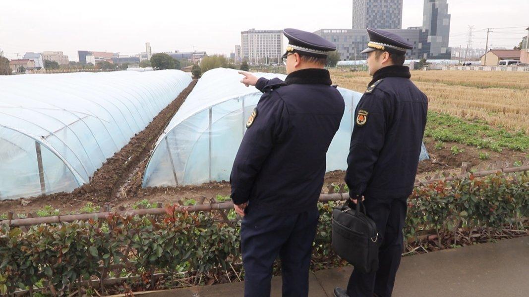 最新大棚搭建步骤指南与技巧分享