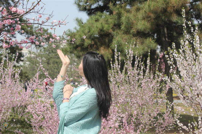 春暖花开最新吧，与自然美景的亲密旅行之旅