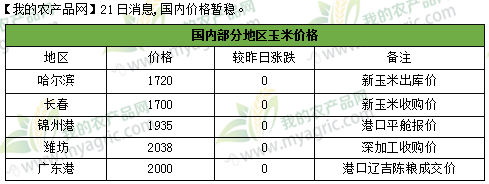 港口玉米价格最新行情详解，获取与分析方法指南