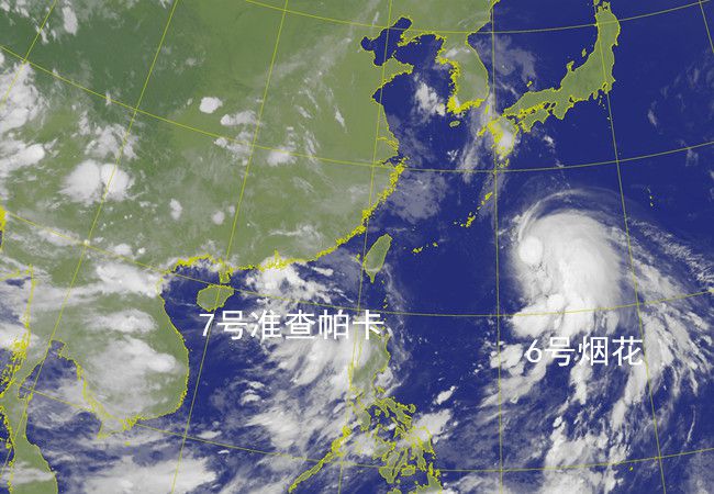 台帕卡风的夏日奇遇，一段温馨的风暴之旅