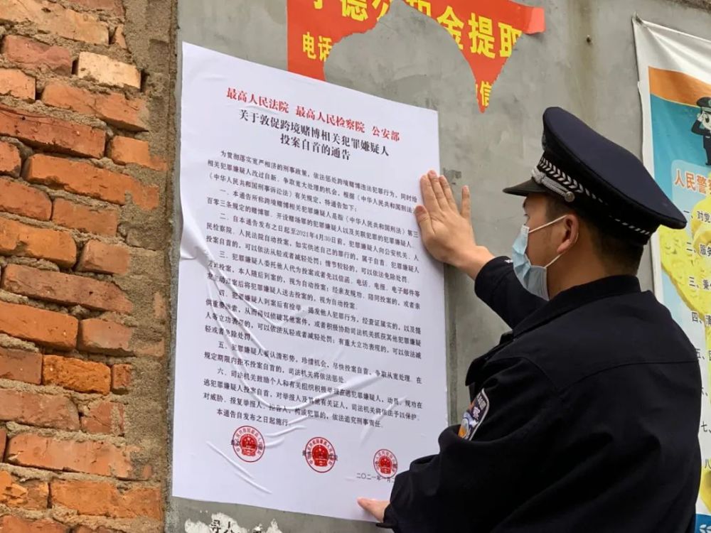 连云港市最新招聘信息探索，职场奇遇与友情交织的温暖