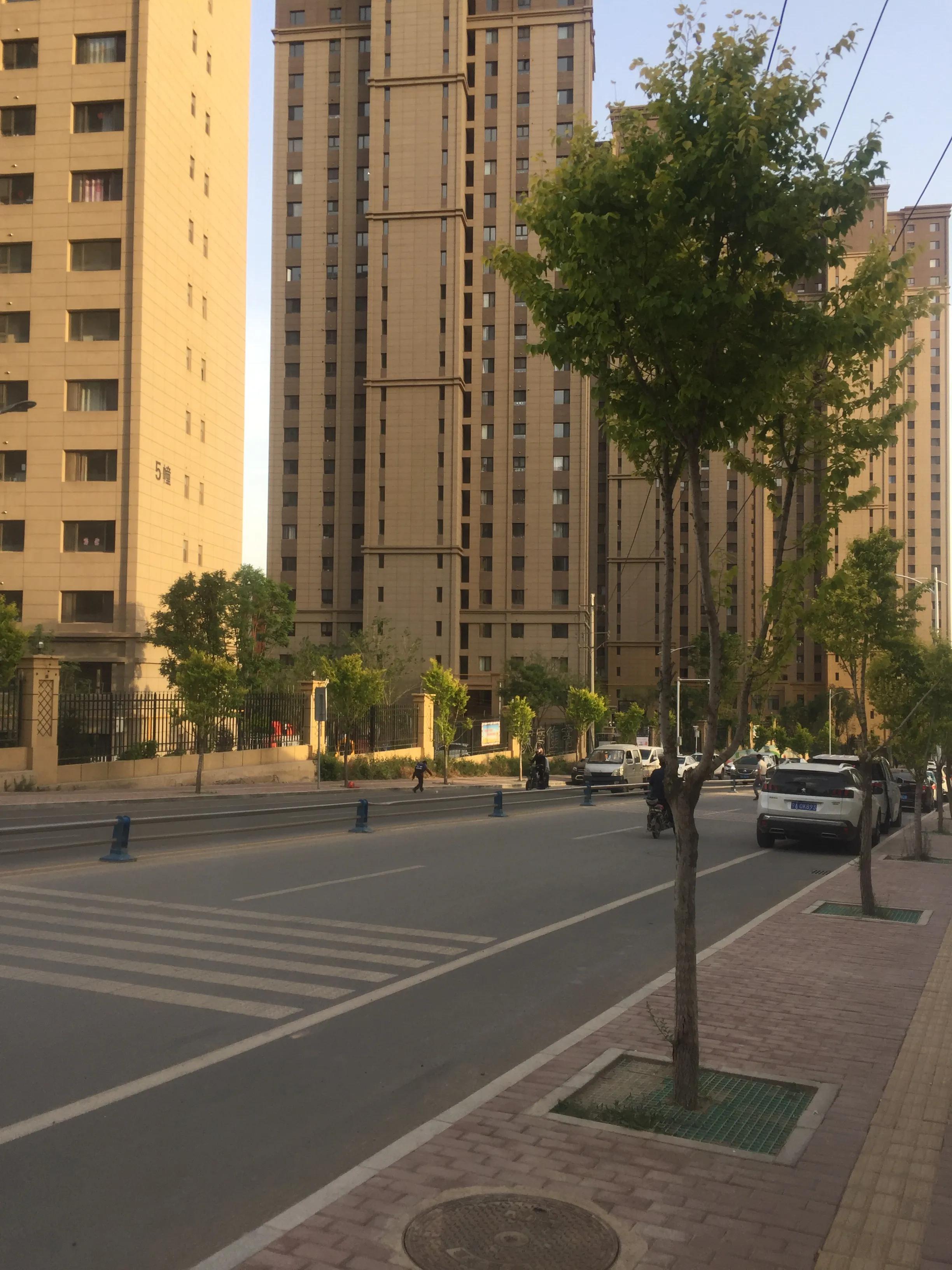兰州市最新招聘信息及启程探索自然美景之旅