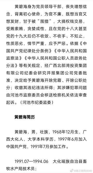 南宁市黄润斌最新任职及步骤指南