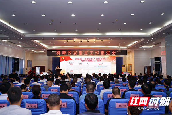株洲市荷塘区人事动态，最新人事变化与机遇，自信与成就感的源泉
