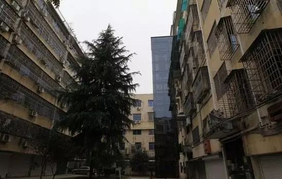 洛阳市公租房最新动态，深入巷弄探秘公租房与隐藏小店的故事