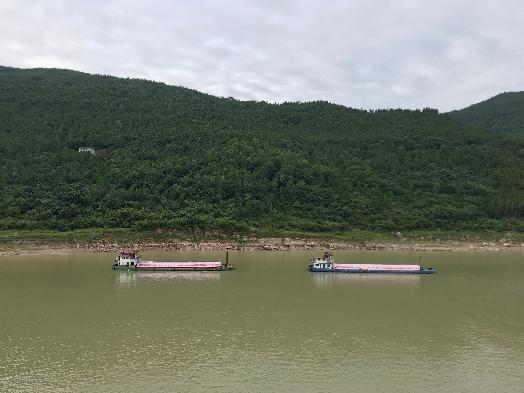 万福海曲明珠最新动态，璀璨启航，引领生活新篇章