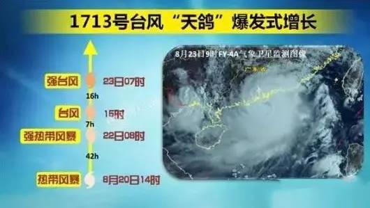 热带风暴天鸽最新动态，逆风翱翔，学习成就自信与成就感的旅程揭秘