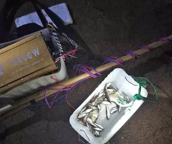 达瓦最新超声波捕鱼器，小巷中的捕鱼神器，神秘宝藏揭秘！