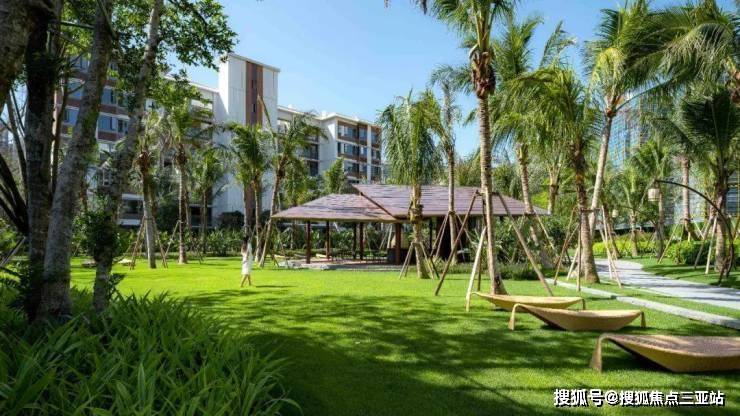 海南国茂清水湾最新动态揭秘，小巷深处的独特风情小店